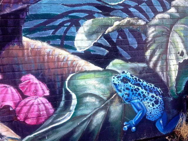 Artists: Mandy van Leeuwen, Jennifer Johnson