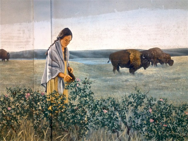 Artist: Jill Sellers