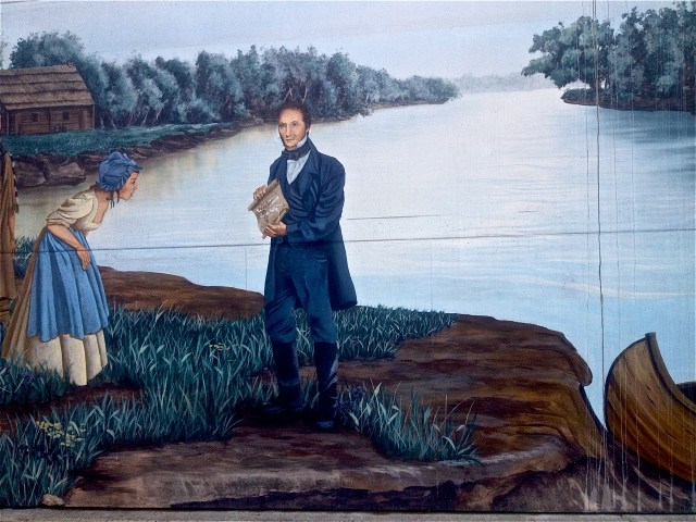 Artist: Jill Sellers