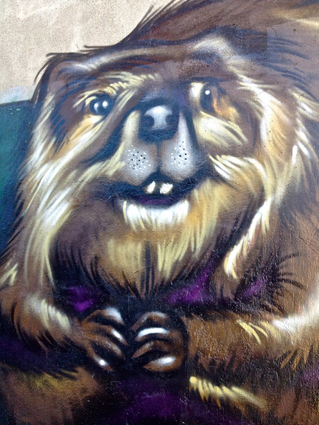 Beaver #1