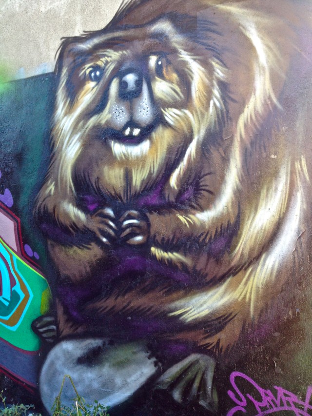 Beaver #2