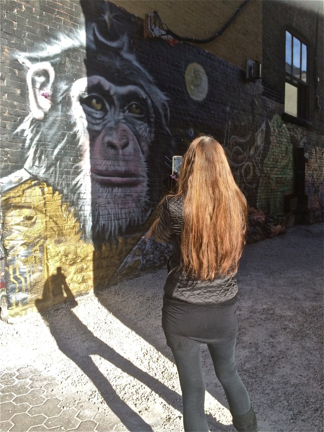 Photo © Sherrie Yager