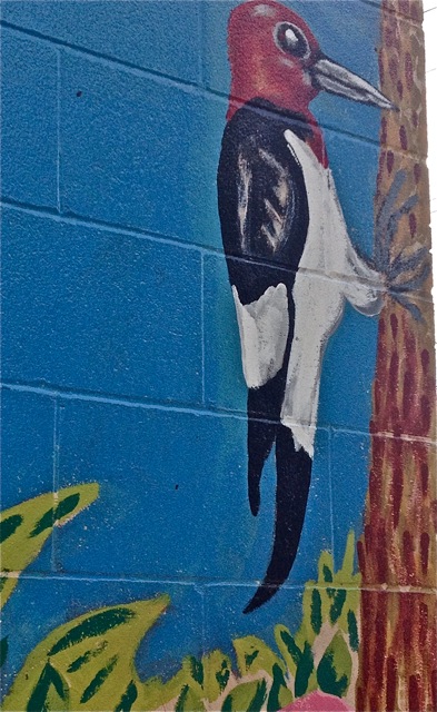 Artists: Louis Bako, Daniel Hrishkewich