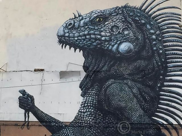 photo © Maria I Firpi Mazur