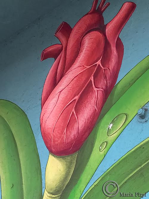 photo © Maria I Firpi Mazur