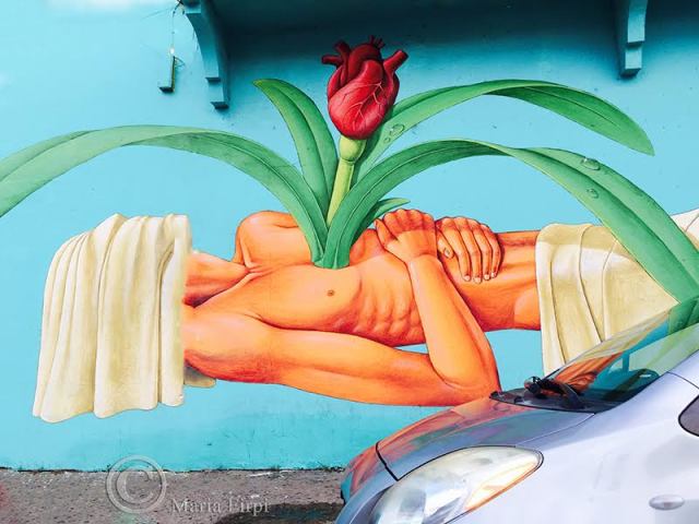 photo © Maria I Firpi Mazur