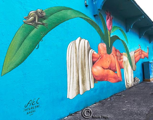 photo © Maria I Firpi Mazur