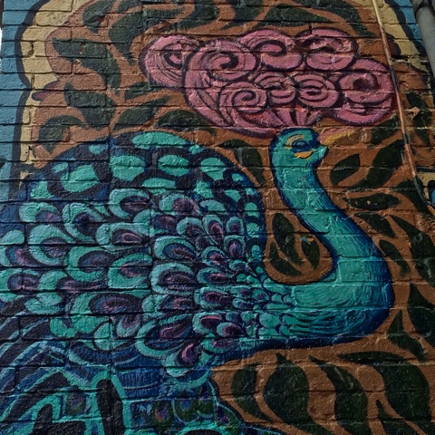 Photo © Sherrie Yager