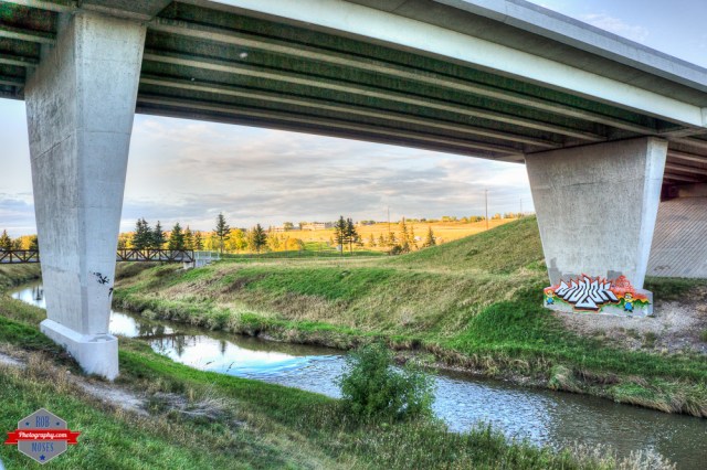 Photo © Rob Moses Photography