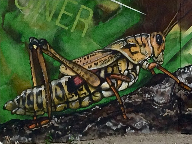 Photo @ Sherrie Yager