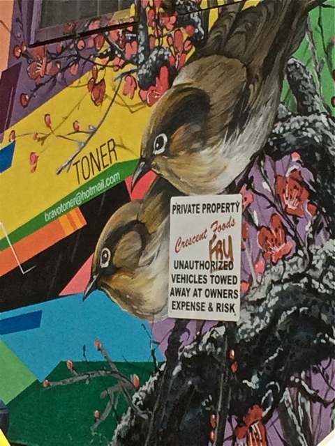 Photo @ Sherrie Yager