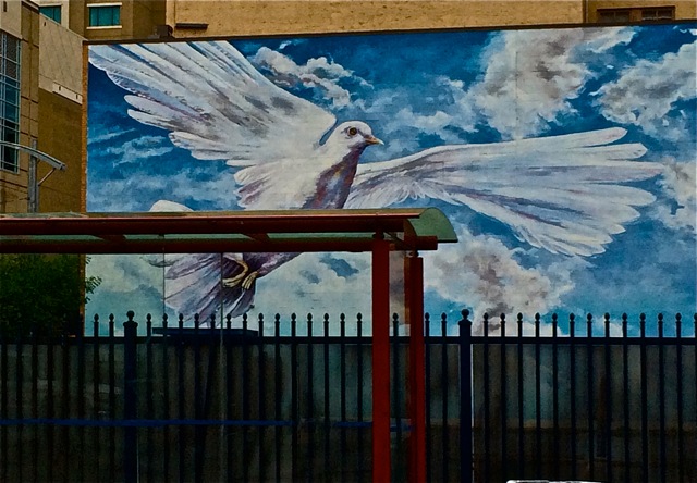 Photo @ Sherrie Yager