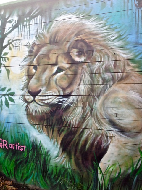 Lion #4