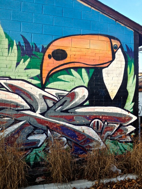 Toucan #2