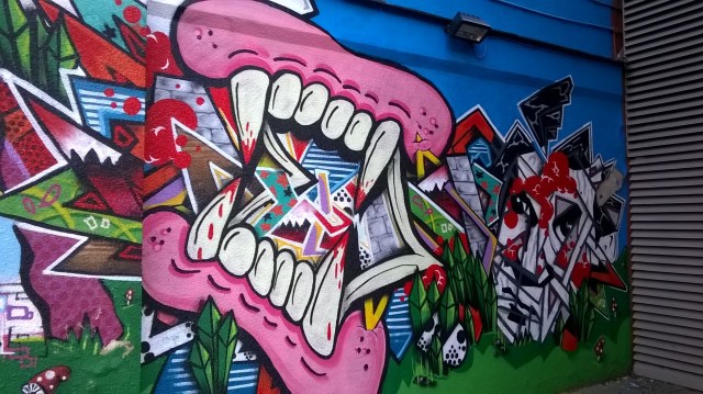 Photo © Steve Johnson