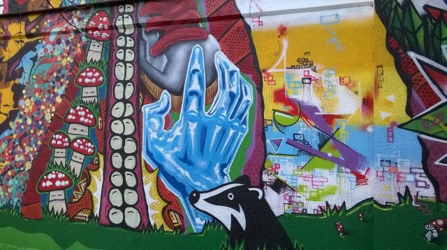 Photo © Steve Johnson