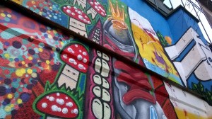 Photo © Steve Johnson