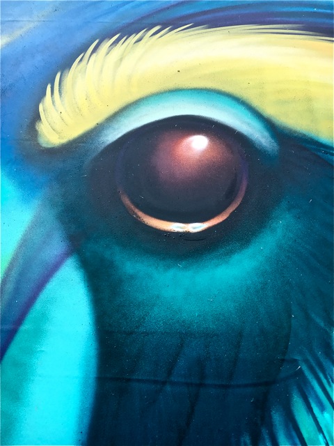 Artist: Shalak Attack