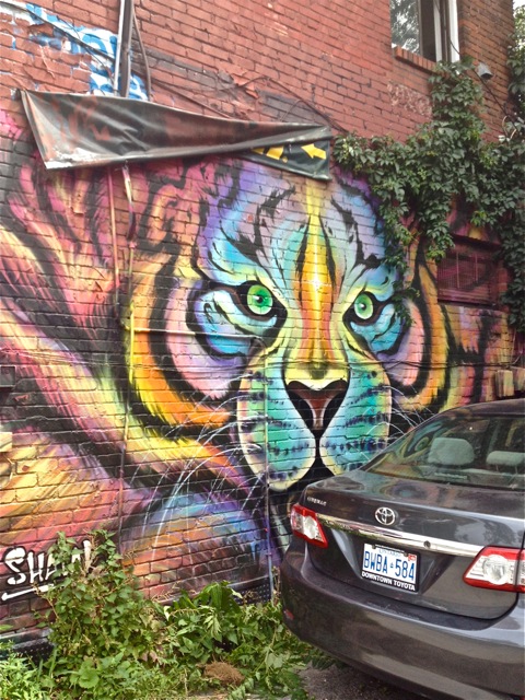 Artist: Shalak Attack