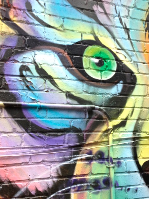 Artist: Shalak Attack