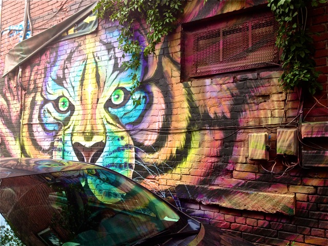 Artist: Shalak Attack