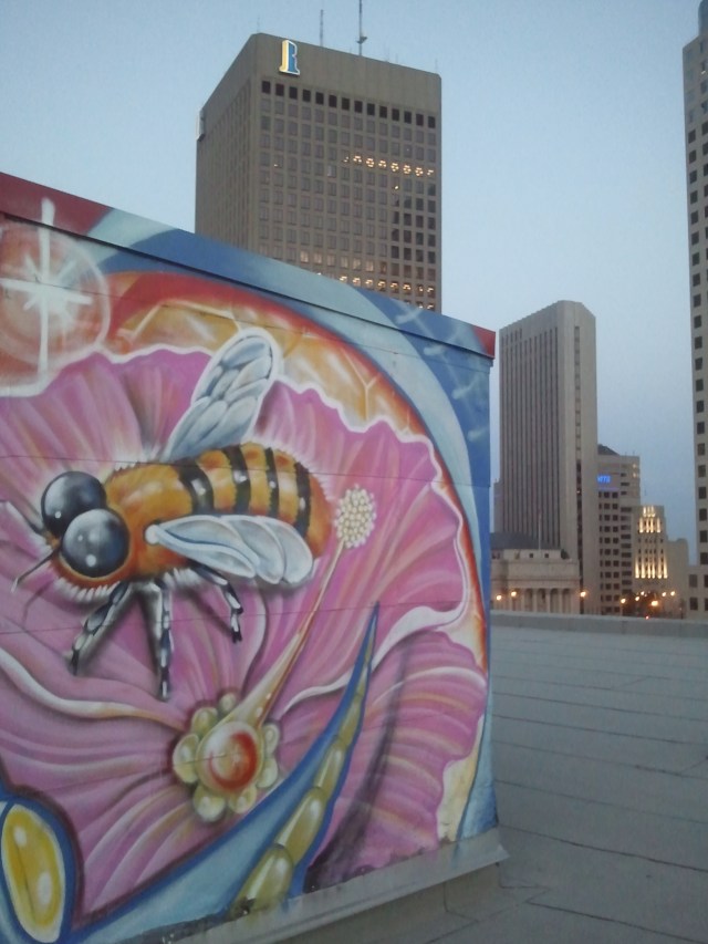 Artist: Mike Johnston - Photo © Mike Johnston